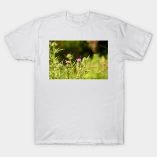 blb thistle T-Shirt